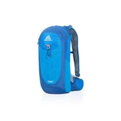 Gregory Miwok 12 Liter Tagesrucksack -Camping-Ausrüstung Verkäufe 2024 66375 2 gregory miwok 12 blue
