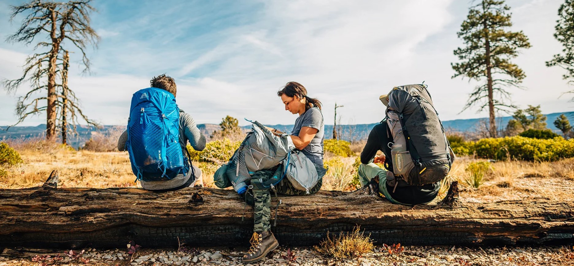 Titelseite -Camping-Ausrüstung Verkäufe 2024 Dingtalk 20240321150153